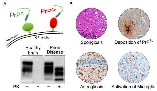 Dis Ease Meaning: Unveiling the Hidden Impact
